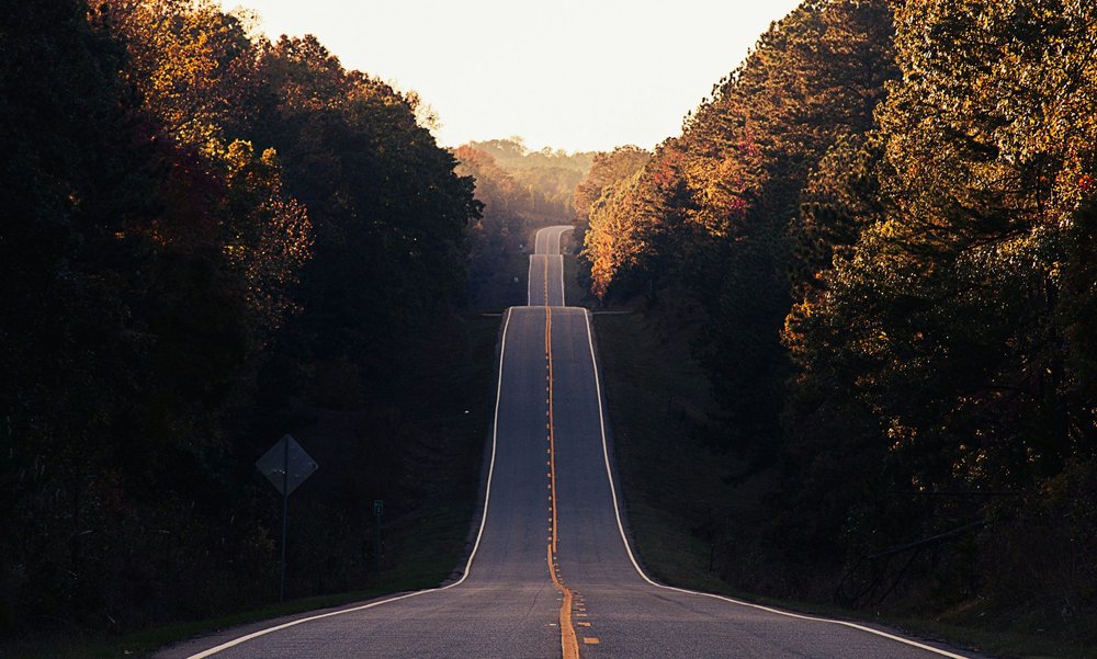 Road through trees representing a long-term retirement plan